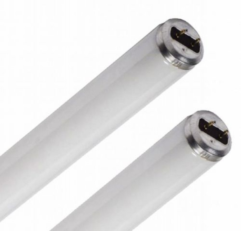 TUBE 36 WATT PESTWEST QUANTUM®, DROIT GAINÉ, 60cm